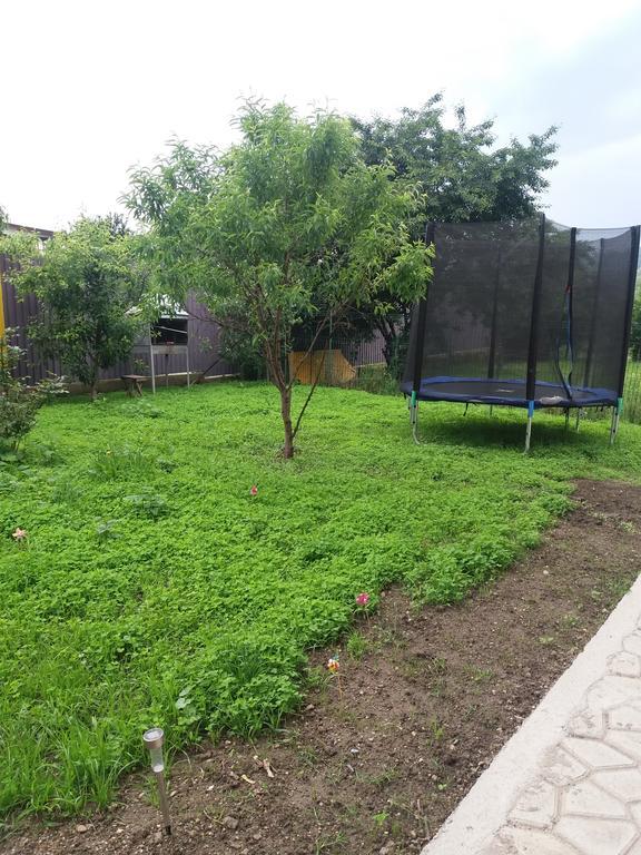 Casa Ariana Hotel Curtea De Arges Bagian luar foto